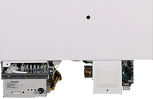 bx pt suprima he lower1 300.gif